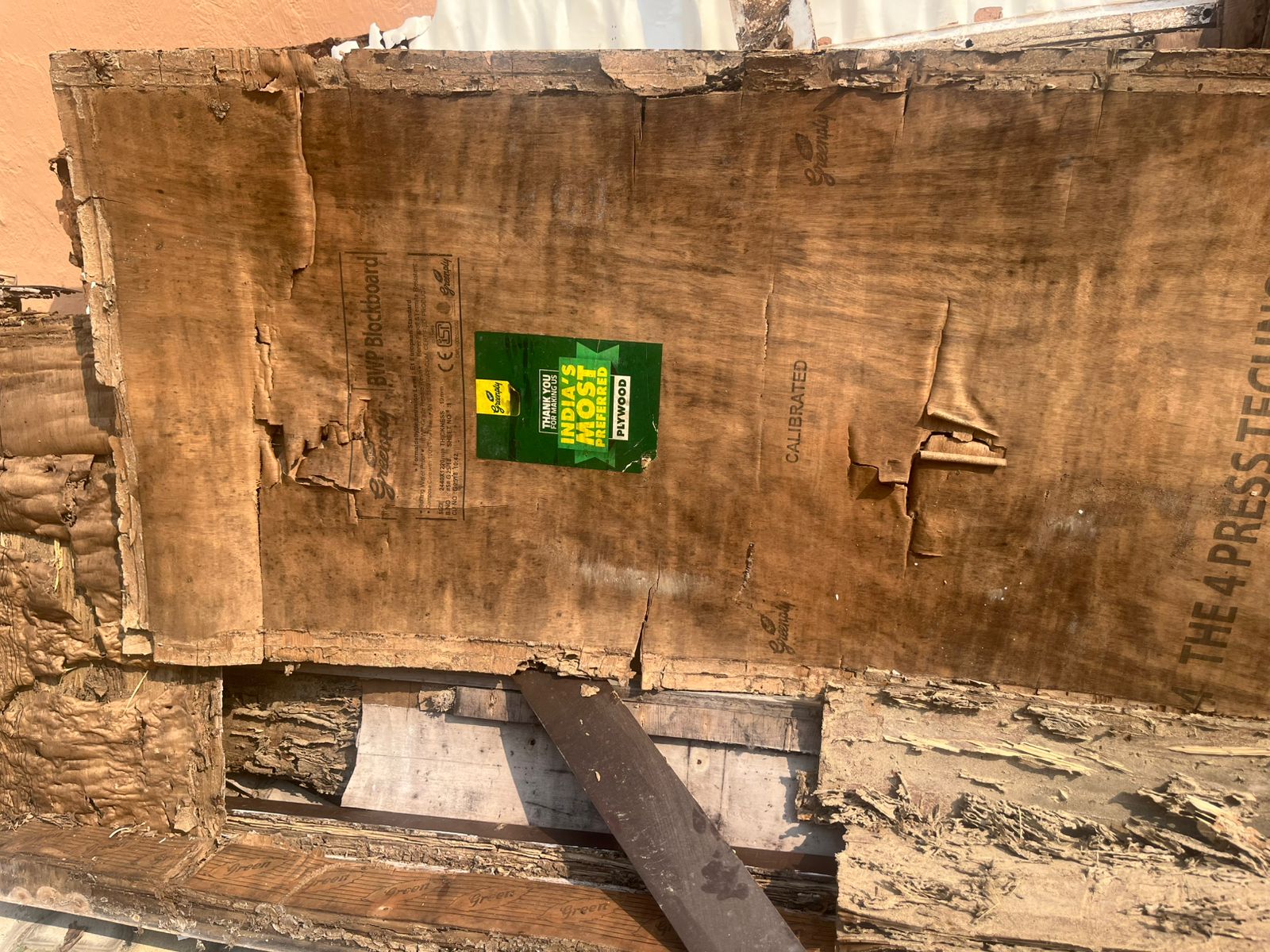 Plywood blockboard panelling badly eaten and hollowed out by termite activity